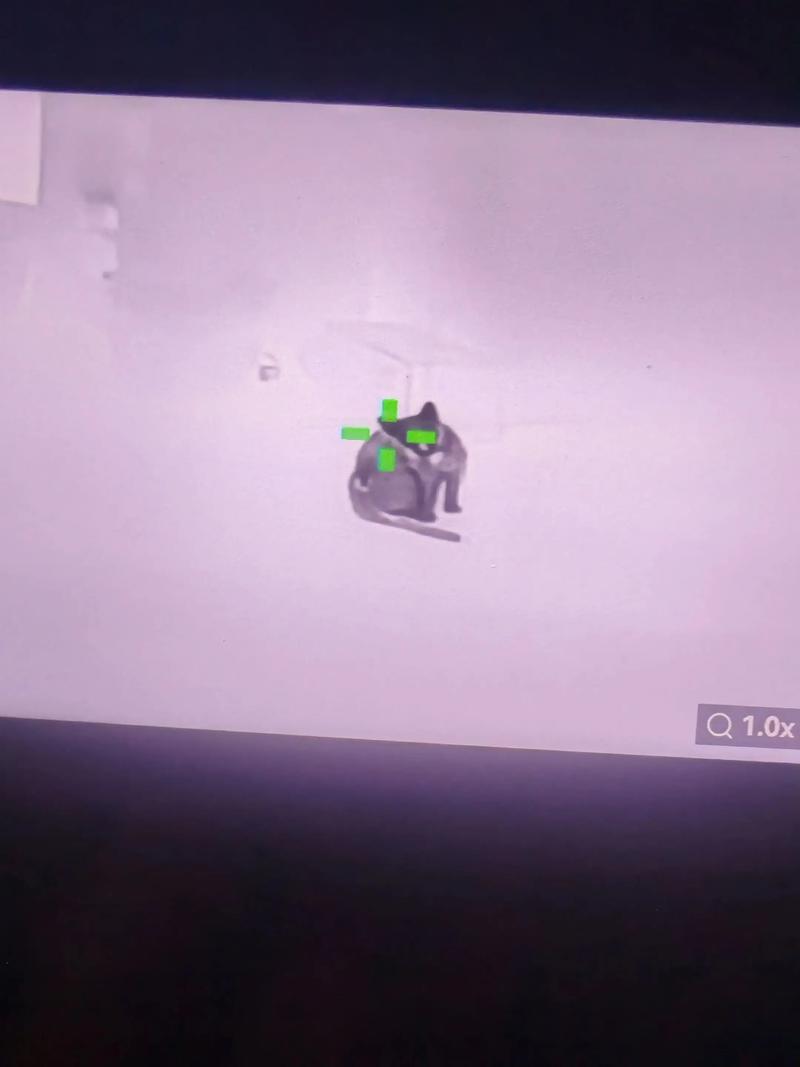 和平精英科技永久购买平台